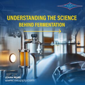 Understanding the Science Behind Fermentation